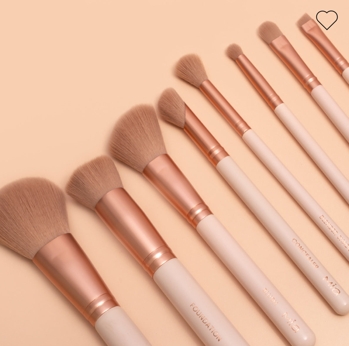 LIKE A PRO BRUSH SET