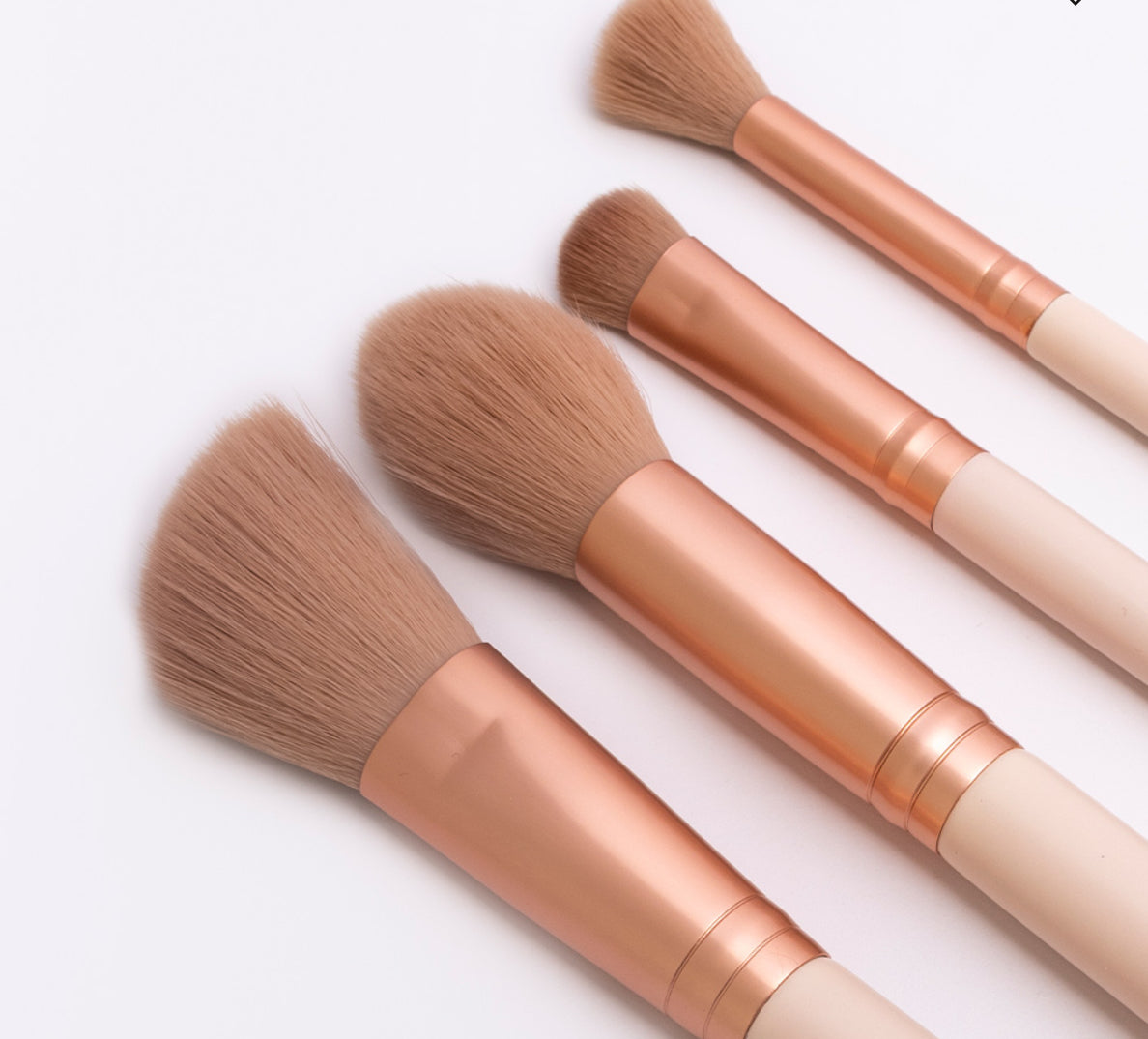 STARTER BRUSH SET