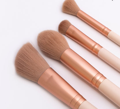 STARTER BRUSH SET