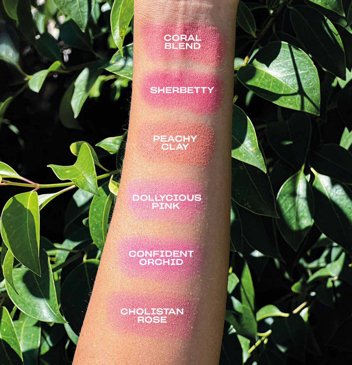 CHEEK FREAK MATTE BLUSH POWDER
